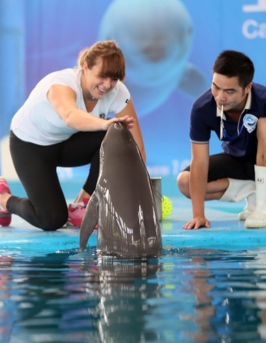 我们不能只 我们不能只