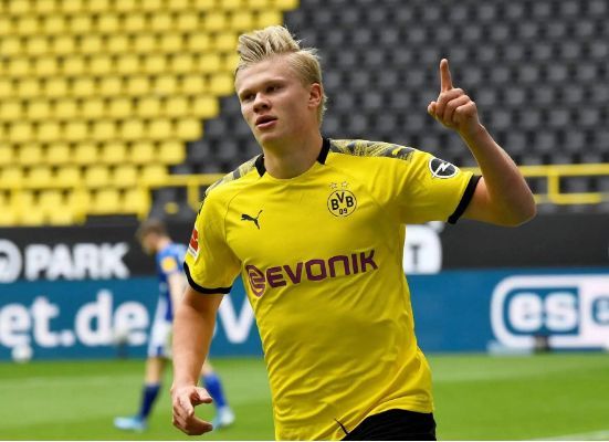 育系列讲座 育系列讲座