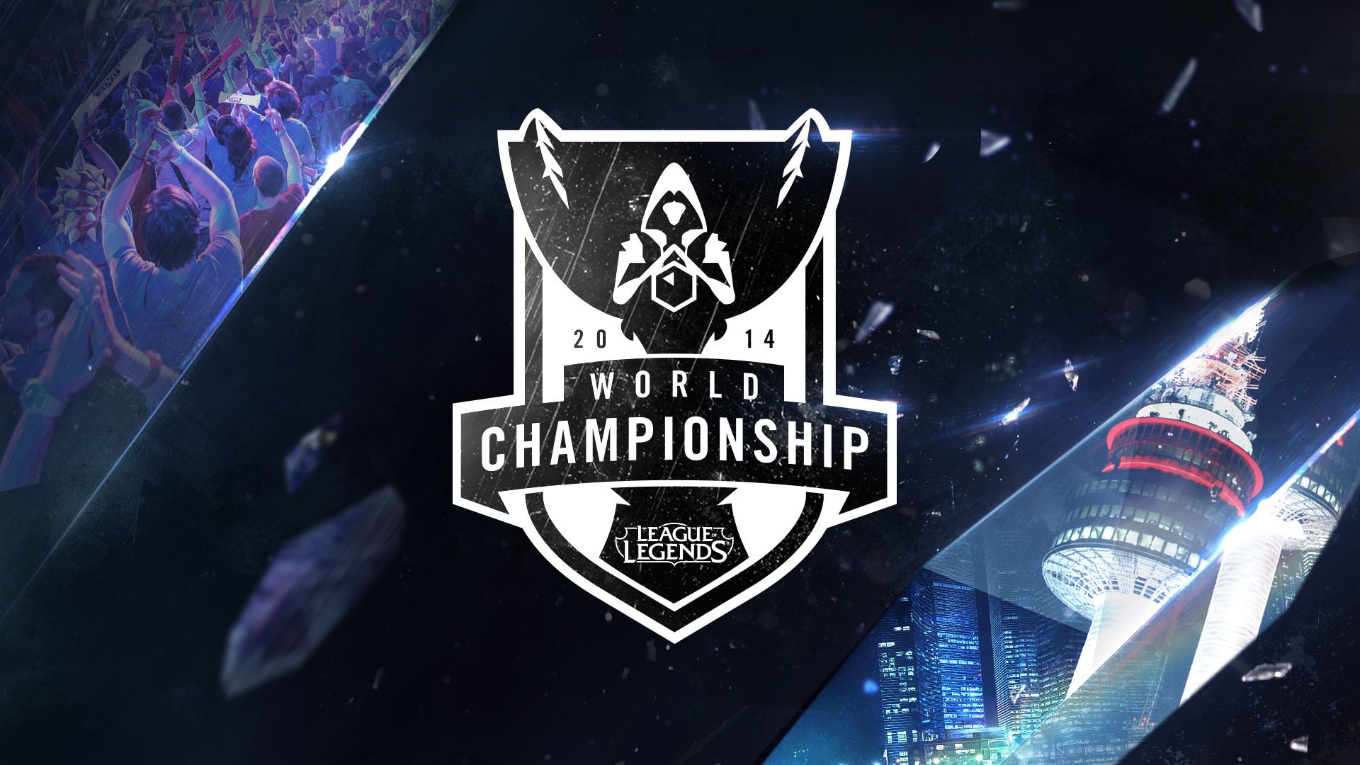 向可控回报 向可控回报